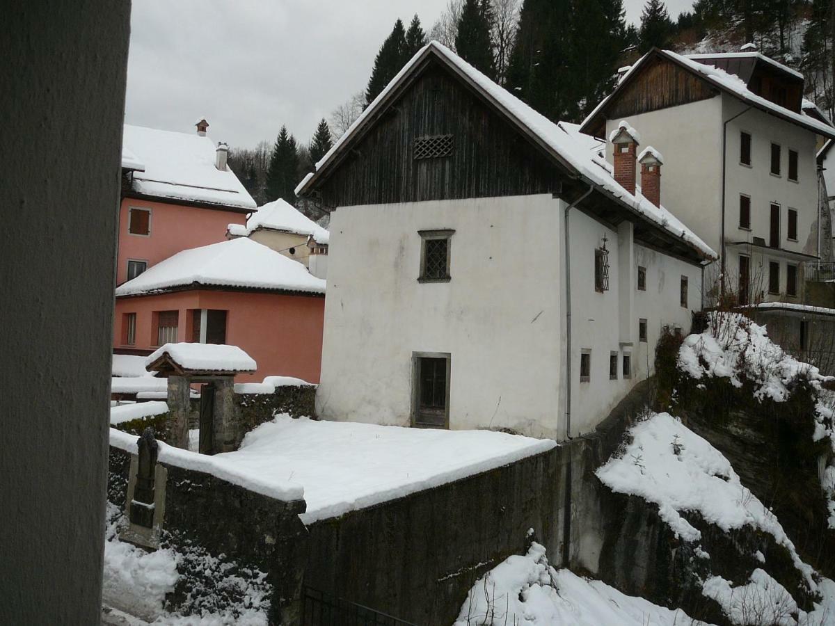 Casa Screm - Appartamenti E Camere -Rigolato - Ud Экстерьер фото